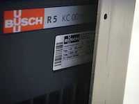 Rex - afbeelding 8 van  19