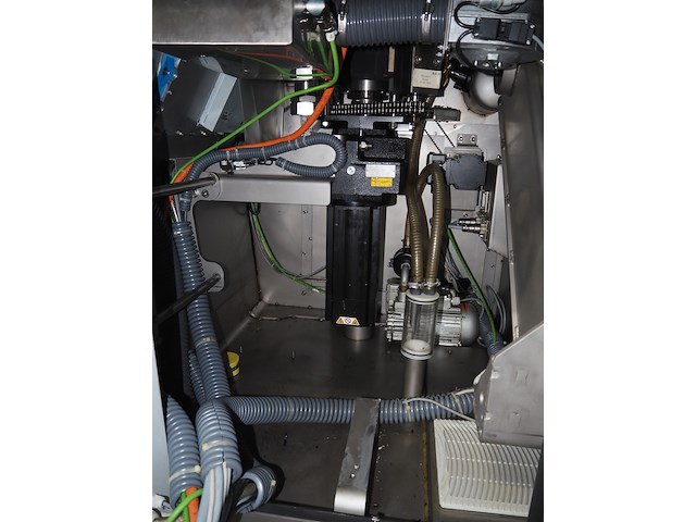 Rex - afbeelding 11 van  40