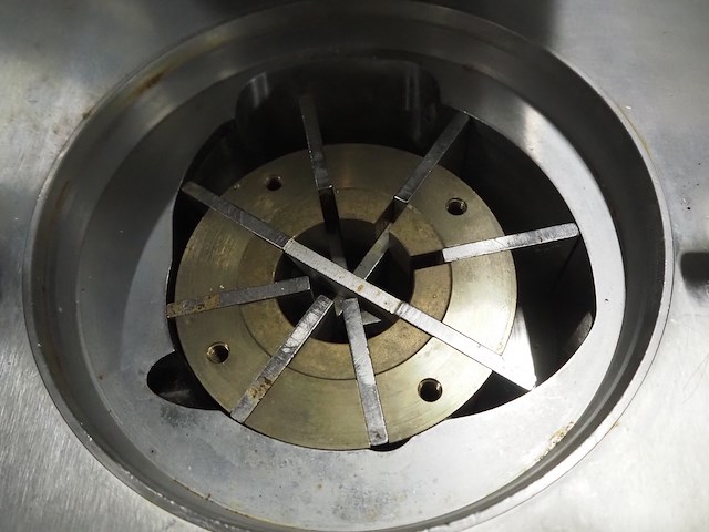 Rex - afbeelding 17 van  18