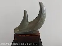 "rhino horns" - afbeelding 3 van  6