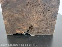"rhino horns" - afbeelding 5 van  6