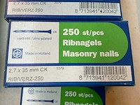 Ribnagels en regenagels (40x) - afbeelding 3 van  5