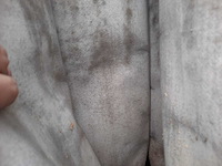 Riedex - md-280 - filterafzuiginstallatie - afbeelding 13 van  17