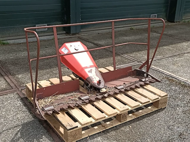 Rietmaaier, reform - afbeelding 1 van  7
