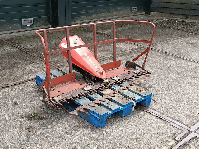 Rietmaaier, reform - afbeelding 1 van  9