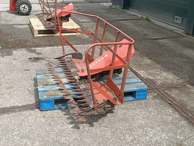 Rietmaaier, reform - afbeelding 4 van  9