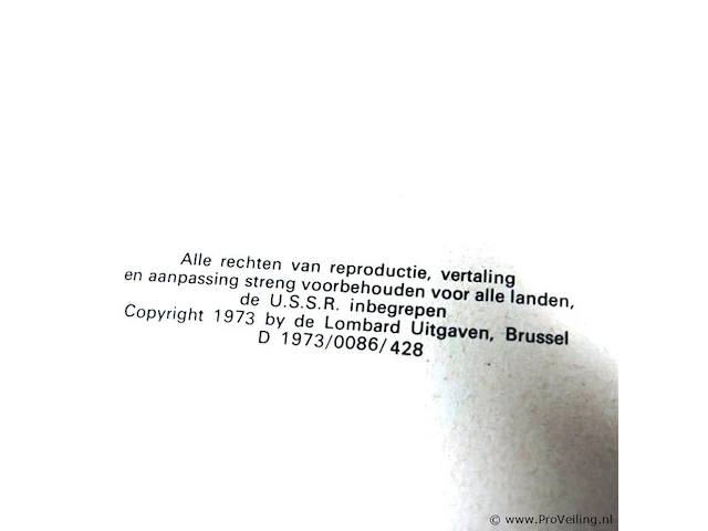 Rik ringers - afbeelding 2 van  2
