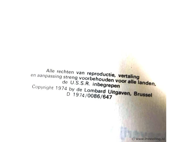 Rik ringers - afbeelding 2 van  2