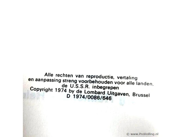 Rik ringers - afbeelding 2 van  2
