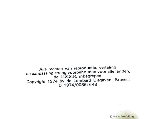 Rik ringers - afbeelding 2 van  2