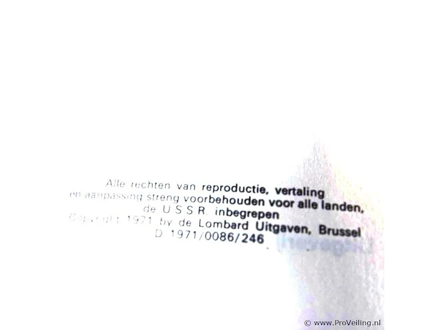 Rik ringers - afbeelding 2 van  2