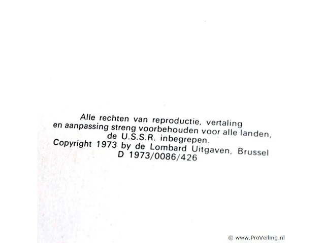 Rik ringers - afbeelding 2 van  2