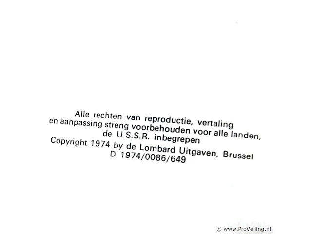 Rik ringers - afbeelding 2 van  2