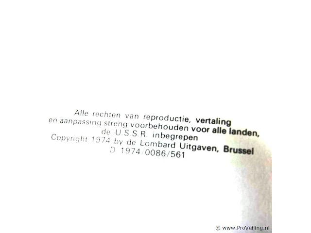 Rik ringers - afbeelding 2 van  2