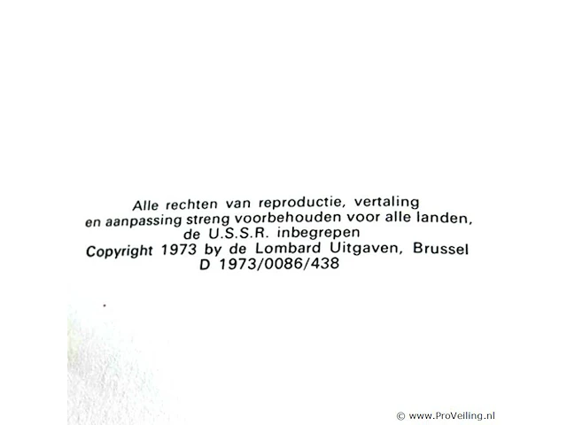 Rik ringers - afbeelding 2 van  2