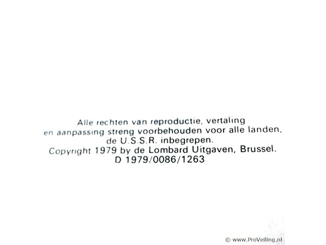 Rik ringers - afbeelding 2 van  2