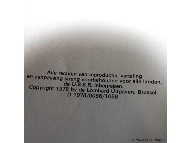 Rik ringers - afbeelding 2 van  2