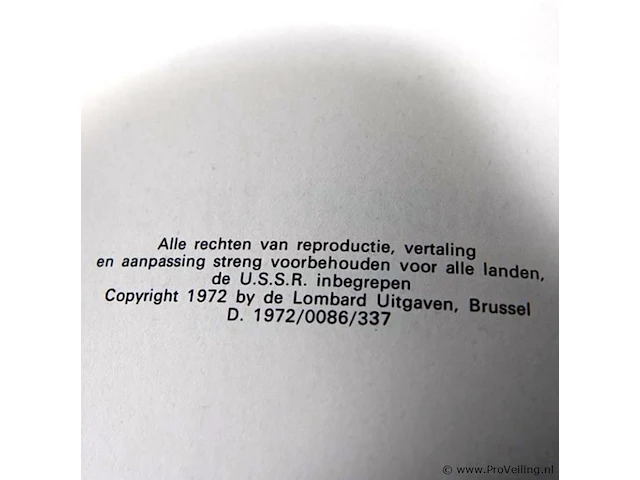 Rik ringers - afbeelding 2 van  2