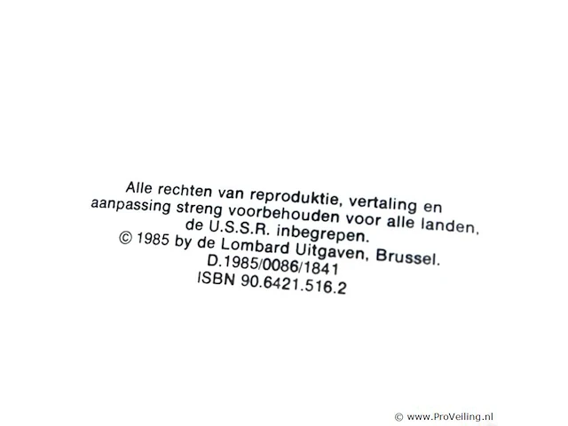 Rik ringers - afbeelding 2 van  2