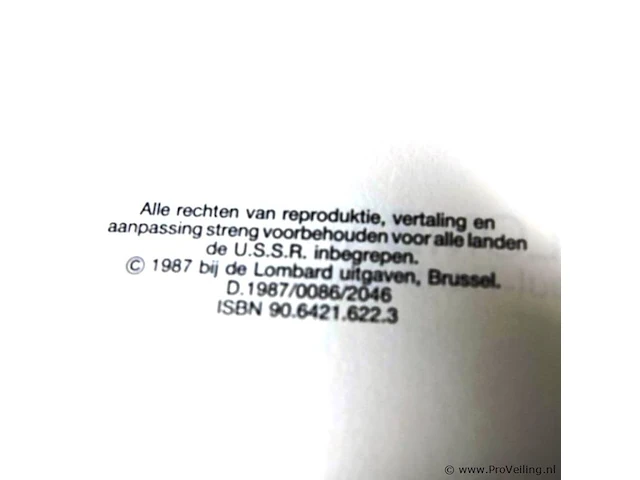 Rik ringers - afbeelding 2 van  2