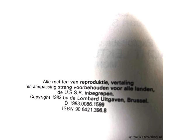 Rik ringers - afbeelding 2 van  2