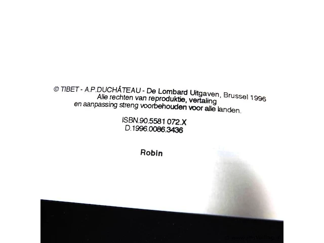 Rik ringers - afbeelding 2 van  2