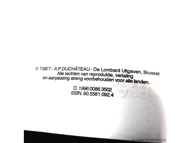 Rik ringers - afbeelding 2 van  2