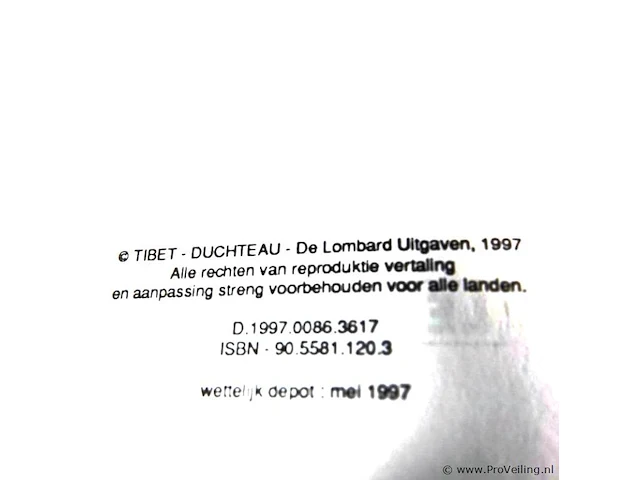 Rik ringers - afbeelding 2 van  2