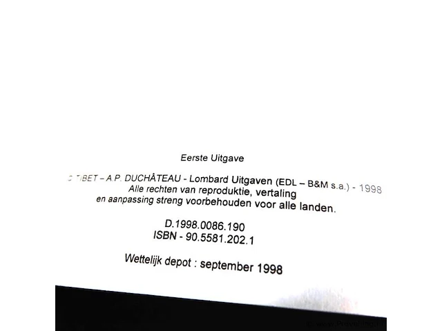 Rik ringers - afbeelding 2 van  2