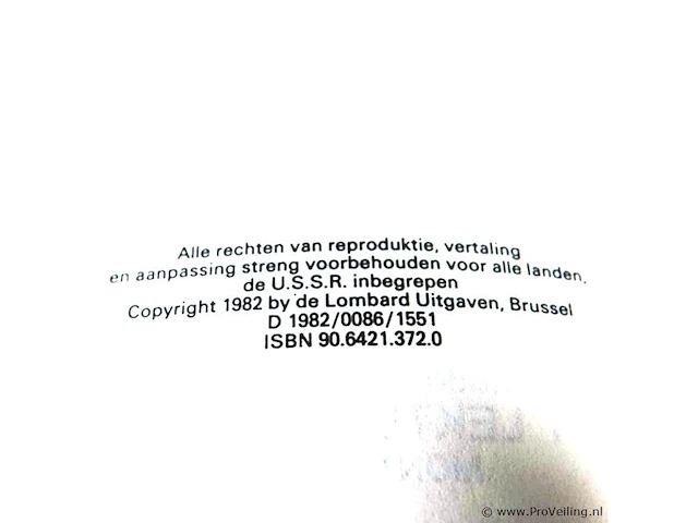 Rik ringers - afbeelding 2 van  2