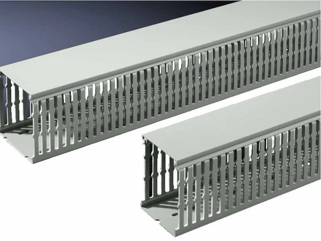 Rittal - ts8800.751 - doos kabelgoot à 20 stuks (9x) - afbeelding 1 van  3