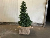 Riviera maison kunstkerstboom in mand - afbeelding 1 van  3