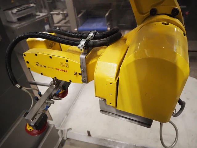 Robert pack / fanuc - afbeelding 27 van  27