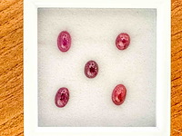 Robijn - 3.21 carat natuurlijke cabochon robijn - afbeelding 1 van  4