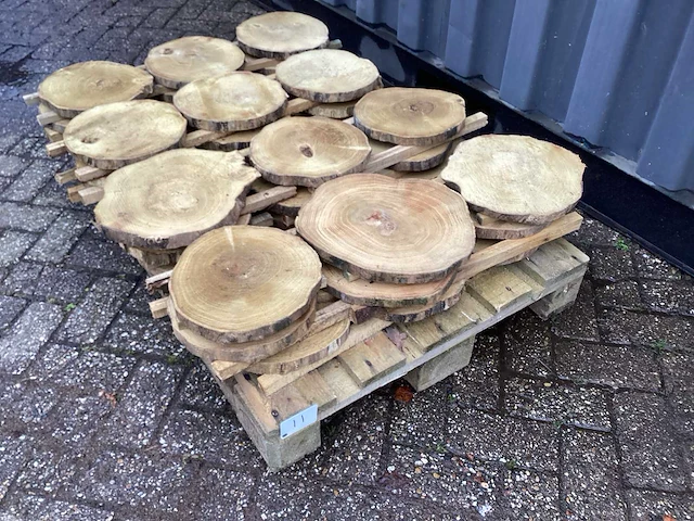 Robinia acacia boomstam schijven 29 stuks - afbeelding 1 van  8
