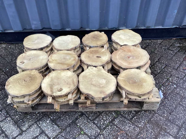 Robinia acacia boomstam schijven 29 stuks - afbeelding 2 van  8