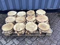 Robinia acacia boomstam schijven 29 stuks - afbeelding 2 van  8