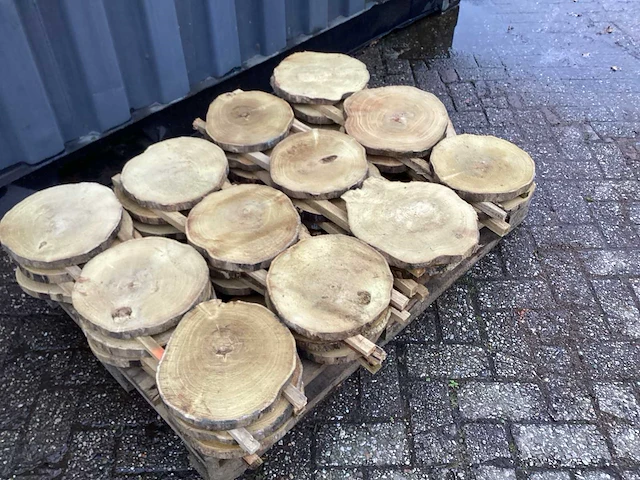 Robinia acacia boomstam schijven 29 stuks - afbeelding 3 van  8