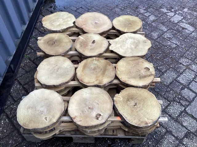 Robinia acacia boomstam schijven 29 stuks - afbeelding 4 van  8