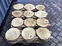 Robinia acacia boomstam schijven 29 stuks - afbeelding 4 van  8