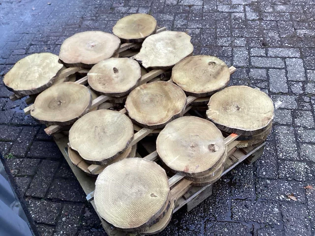 Robinia acacia boomstam schijven 29 stuks - afbeelding 5 van  8