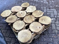 Robinia acacia boomstam schijven 29 stuks - afbeelding 5 van  8