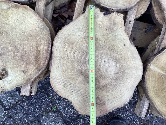 Robinia acacia boomstam schijven 29 stuks - afbeelding 6 van  8