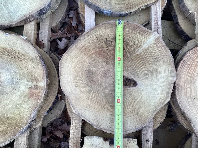 Robinia acacia boomstam schijven 29 stuks - afbeelding 7 van  8