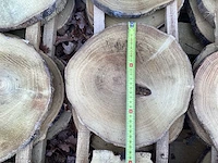 Robinia acacia boomstam schijven 29 stuks - afbeelding 7 van  8