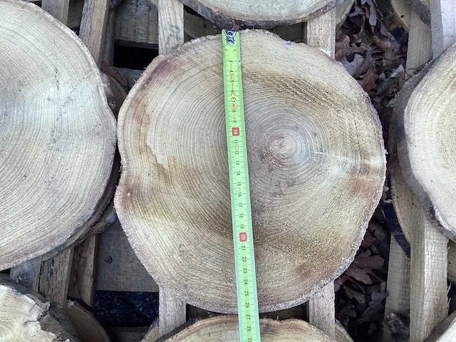 Robinia acacia boomstam schijven 29 stuks - afbeelding 8 van  8
