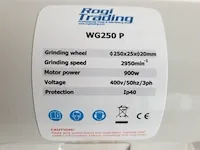 Rogi wg250p polijstmachine - afbeelding 3 van  7