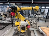 Rolan robotics verpakkingslijn - afbeelding 3 van  9