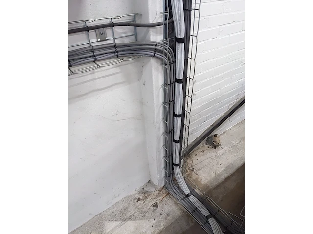 Rollerbaan 50 meter beerepoot - afbeelding 29 van  31