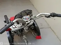 Rolstoelfiets van raam, o-pair² - 3x elektrische trapondersteuning - afbeelding 8 van  12